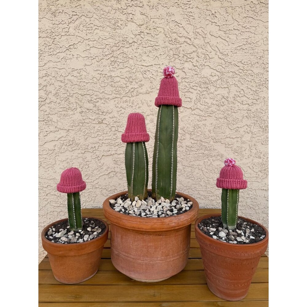Handmade Pink Knit Cactus Hat – Winter Frost Protection Cozy, Optional Pom Pom
